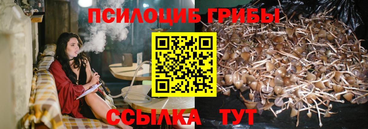 Черногорск  Псилоцибиновые грибы GOLDEN TEACHER  Галлюциногенные грибы MAGIC MUSHROOMS  Вход с VPN 